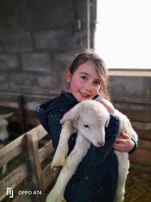 Gite à la ferme de la dame au lit Momignies Exterior foto
